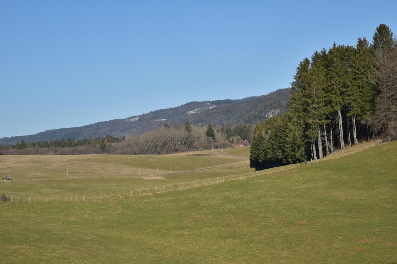 Hôtel Le Mélèze Moirans-en-Montagne Esterno foto